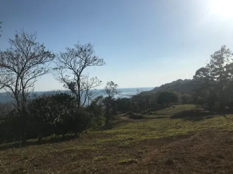 Finca en venta en Parrita, Puntarenas – foto 5