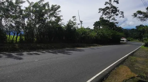 Finca en venta en Siquirres, Limón – Finca en Siquirres, Limon