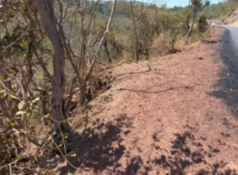 Lote en venta en Carrillo, Guanacaste – foto 4