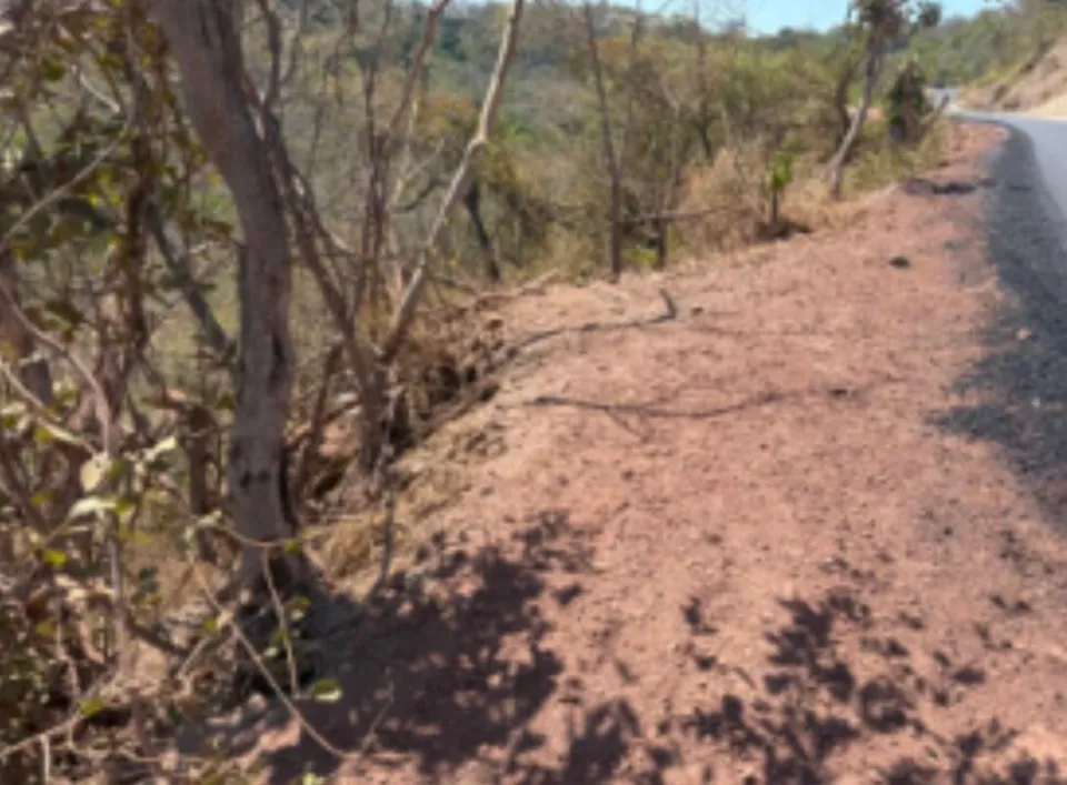 Lote en venta en Carrillo, Guanacaste – foto 4