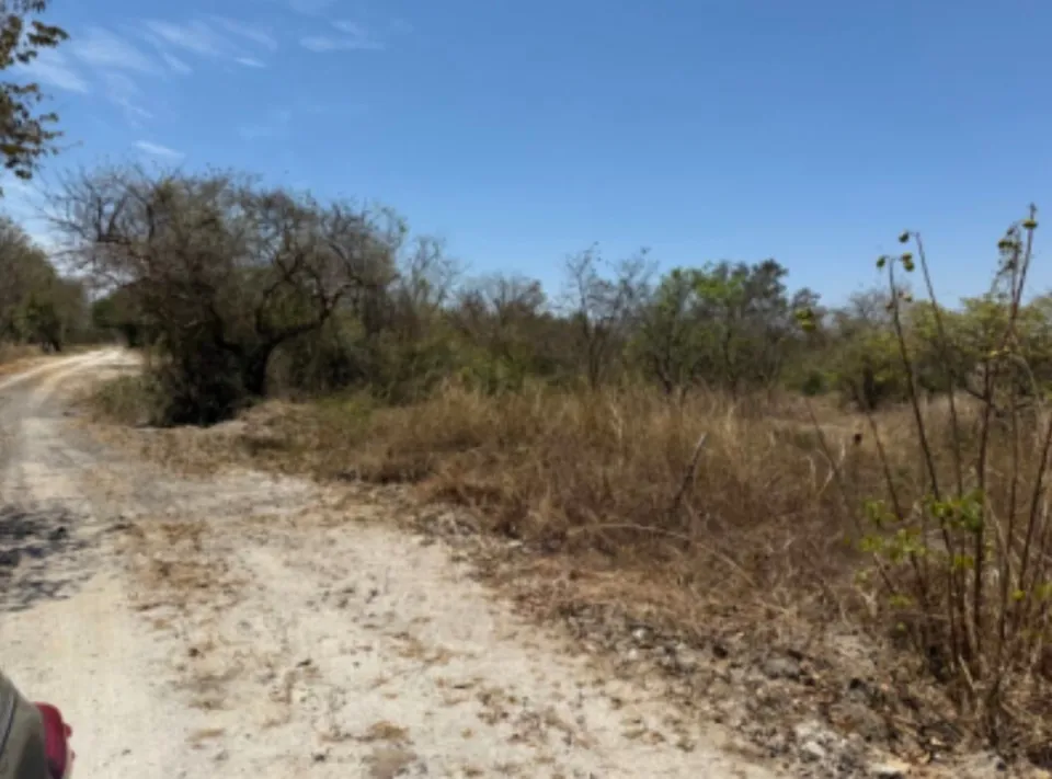 Lote en venta en Liberia, Guanacaste – foto 4