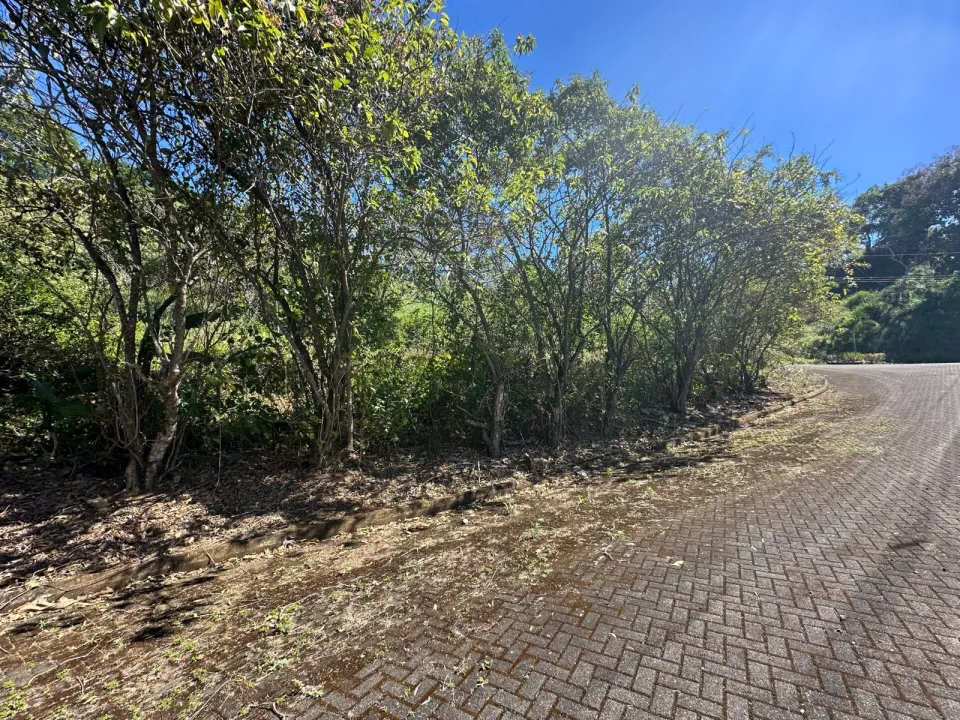 Lote en venta en Mora, San José – foto 5