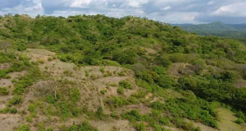 Finca en venta en Carrillo, Guanacaste – foto 3