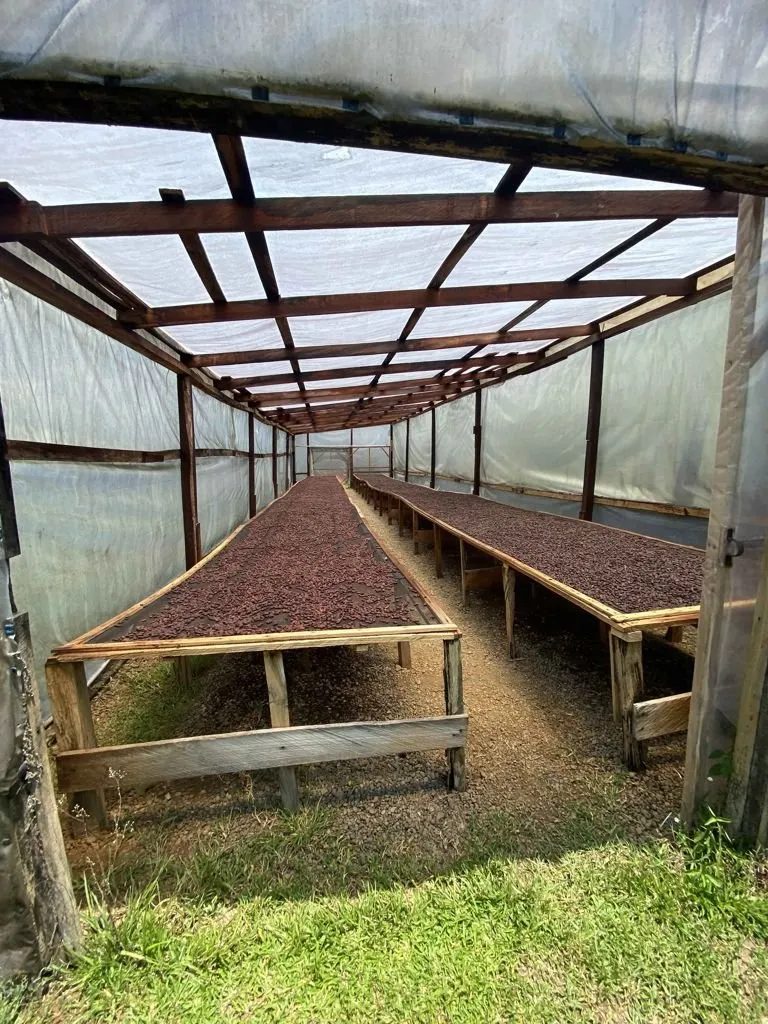Finca en venta en San Carlos, Alajuela – foto 3