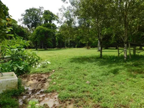 Finca en venta en Sarapiquí, Heredia – foto 2