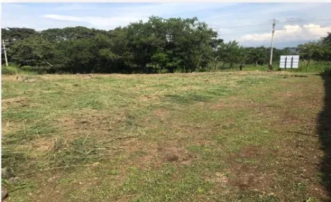 Lote comercial en venta en Alajuela, Alajuela, Alajuela – TERRENO COMERCIAL HACIENDA EL COYOL, ALAJUELA