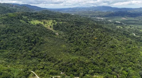 Finca en venta en Osa, Puntarenas – foto 3