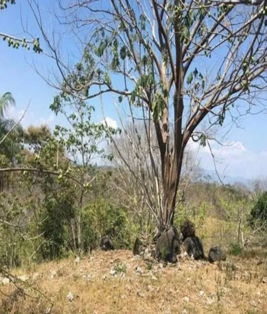 Lote en venta en Puntarenas, Puntarenas, Puntarenas – foto 4