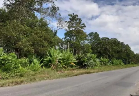 Finca en venta en Río Blanco, Limón, Limón – Finca en Limón, Río Blanco, Búfala