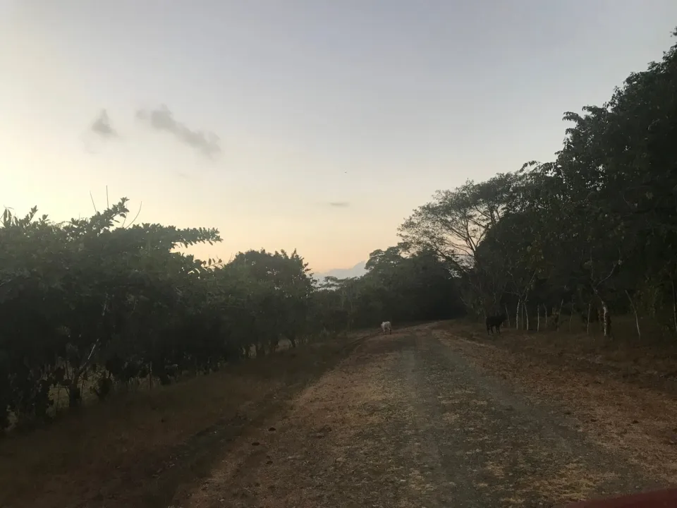 Finca en venta en Parrita, Puntarenas – foto 52