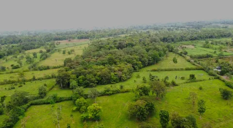 Finca en venta en Pococí, Limón – Finca en Limon, Pococí