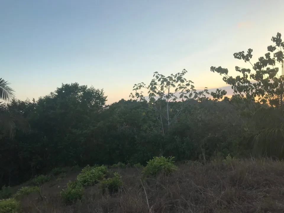 Finca en venta en Parrita, Puntarenas – foto 38