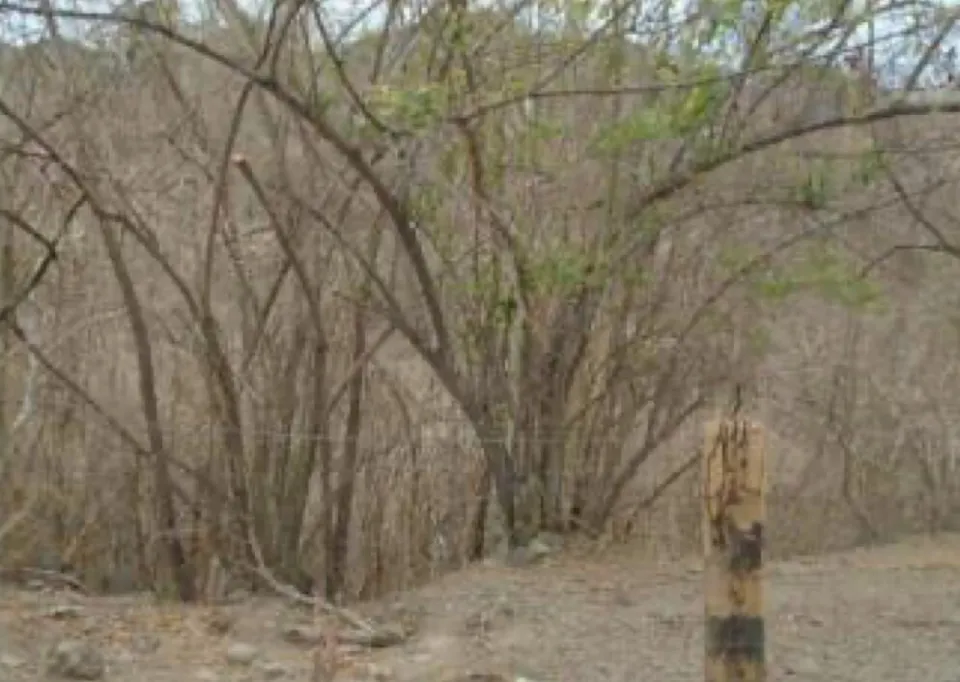 Finca en venta en Orotina, Alajuela – foto 2