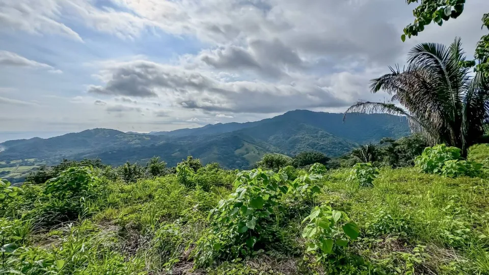 Finca en venta en Nandayure, Guanacaste – foto 6