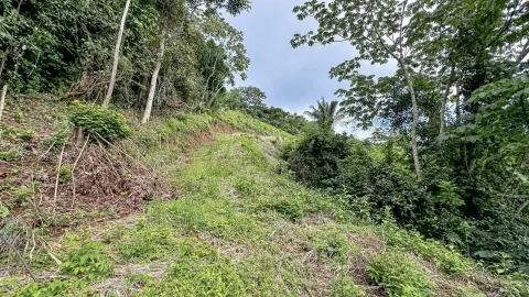 Finca en venta en Nandayure, Guanacaste – foto 5