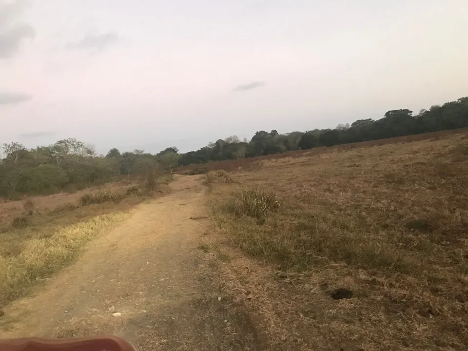 Finca en venta en Parrita, Puntarenas – foto 57