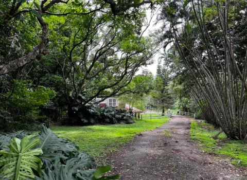 Casa en venta en La Garita, Alajuela, Alajuela – foto 2