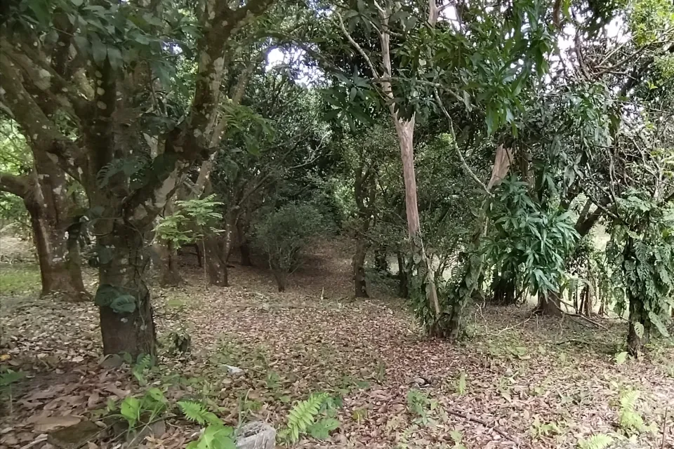 Lote en venta en Mora, San José – foto 2