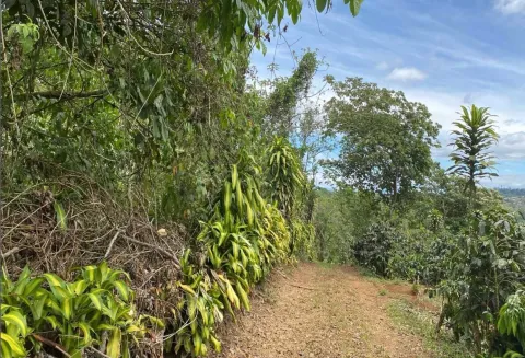 Finca en venta en Naranjo, Alajuela – foto 2