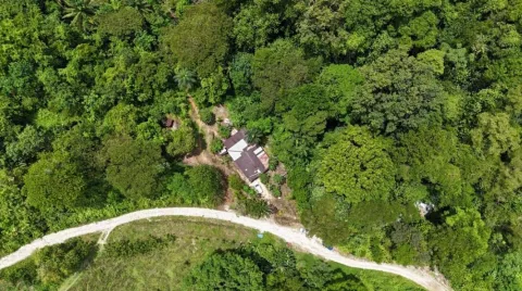 Finca en venta en Osa, Puntarenas – Finca en Piedras Blancas, Puntarenas