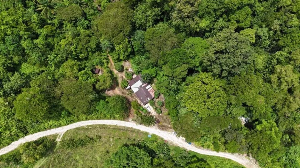 Finca en venta en Osa, Puntarenas – Finca en Piedras Blancas, Puntarenas