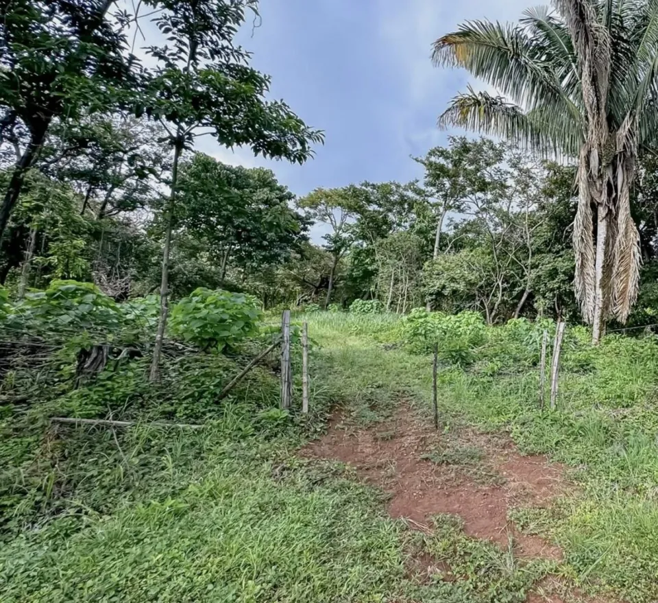 Finca en venta en Nandayure, Guanacaste – foto 8