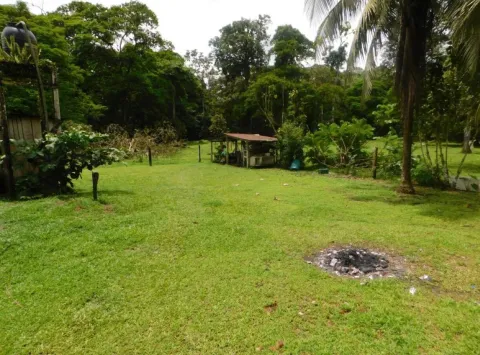 Finca en venta en Sarapiquí, Heredia – Finca Puerto Viejo, Sarapiqui