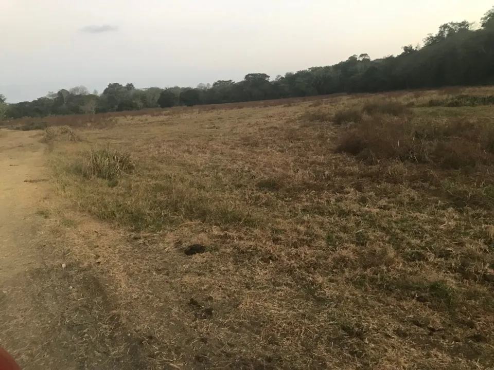Finca en venta en Parrita, Puntarenas – foto 56
