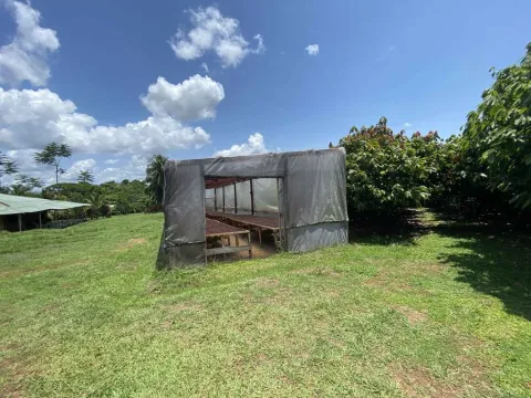 Finca en venta en San Carlos, Alajuela – foto 5