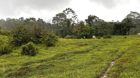 Finca en venta en Sarapiquí, Heredia – foto 2
