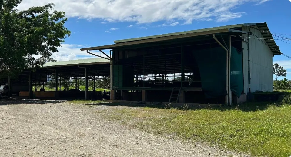Bodega en venta en Talamanca, Limón – foto 6