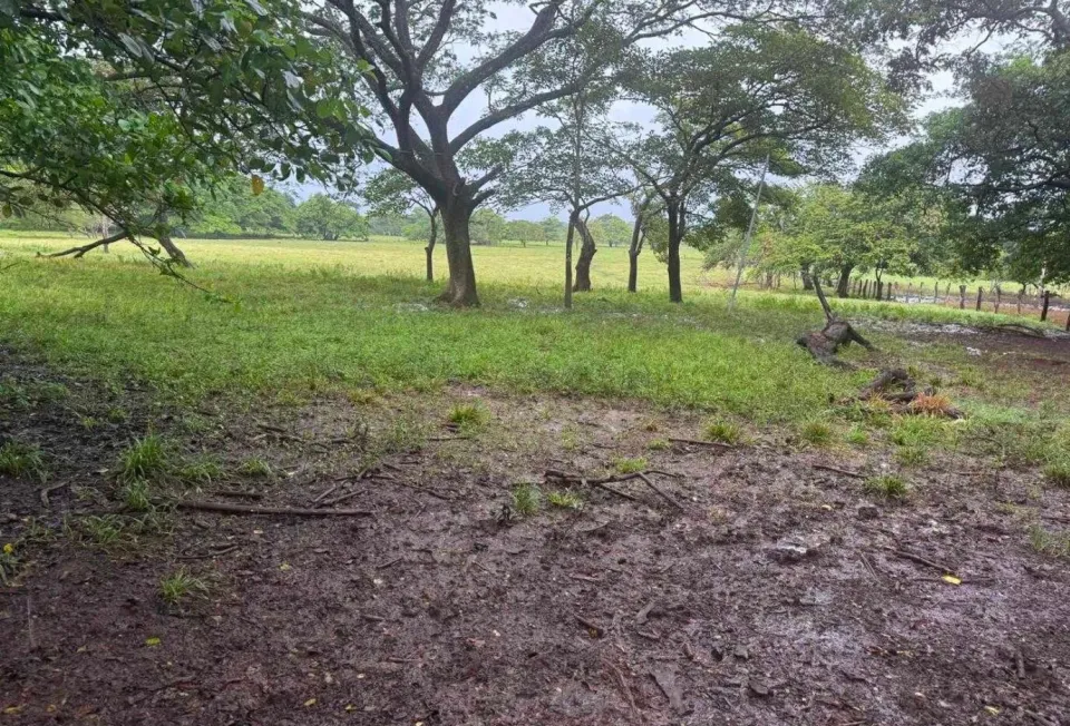 Finca en venta en Nicoya, Guanacaste – foto 6