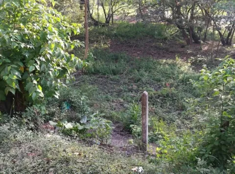 Finca en venta en Nicoya, Guanacaste – foto 2