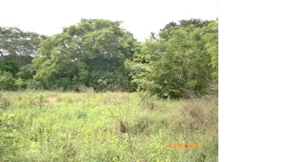 Finca en venta en Cañas, Guanacaste – foto 8