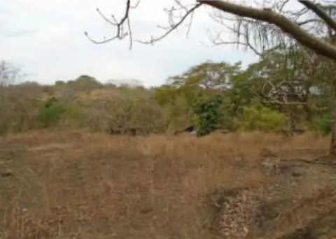 Finca en venta en Orotina, Alajuela – foto 5