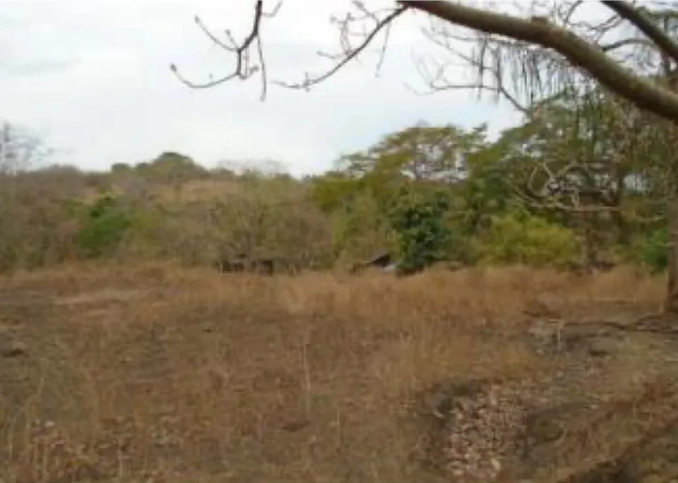 Finca en venta en Orotina, Alajuela – foto 5