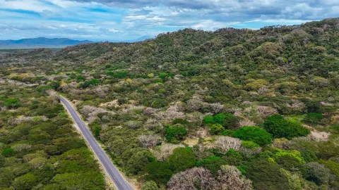 Finca en venta en Cañas, Guanacaste – Lote en Cañas, Guanacaste