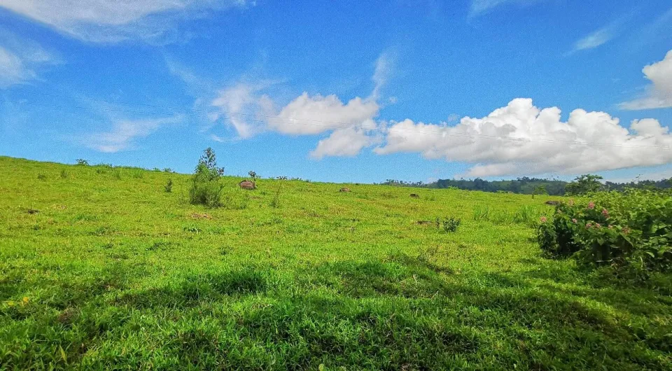 Finca en venta en Siquirres, Limón – foto 3