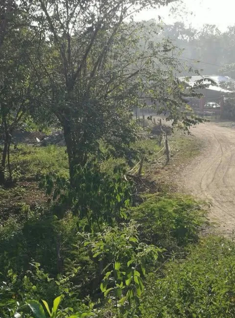 Finca en venta en Nicoya, Guanacaste – foto 3