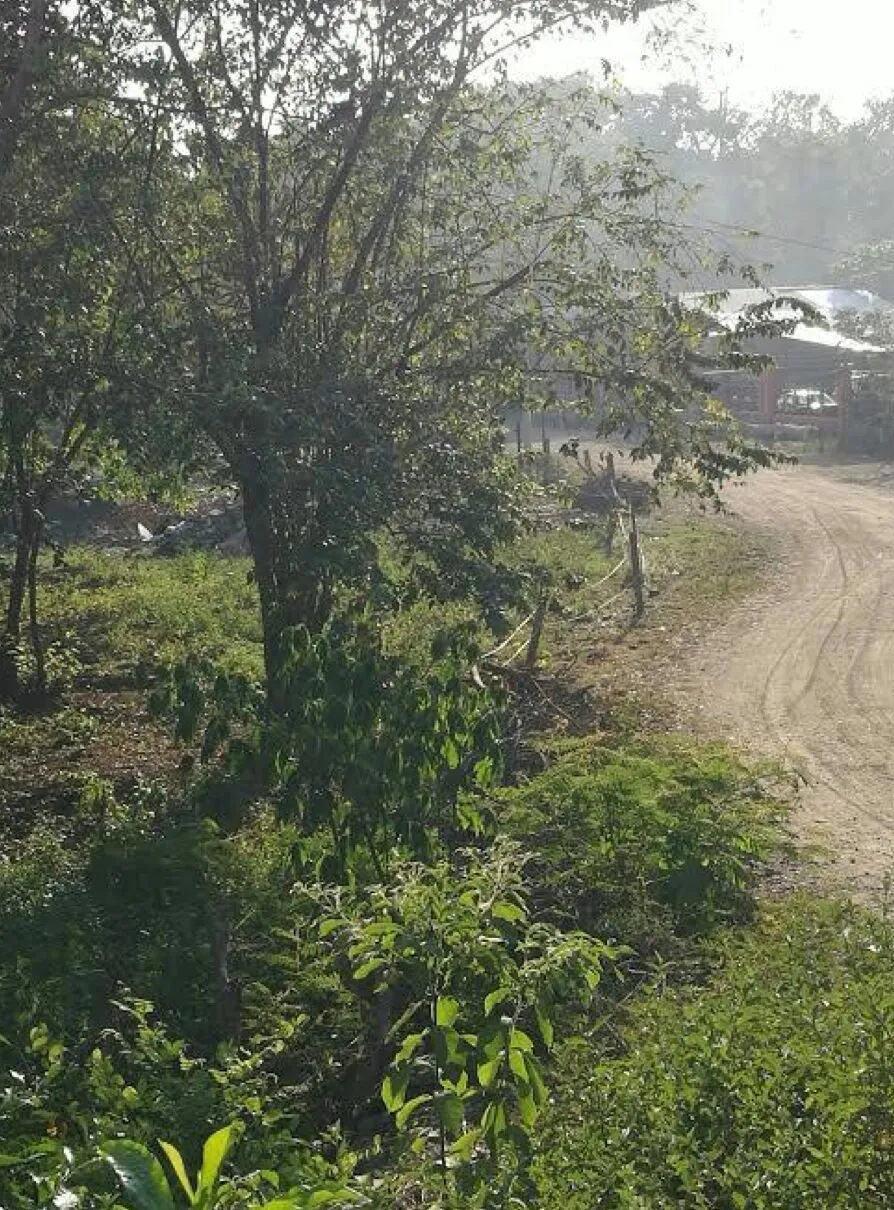Finca en venta en Nicoya, Guanacaste – foto 3