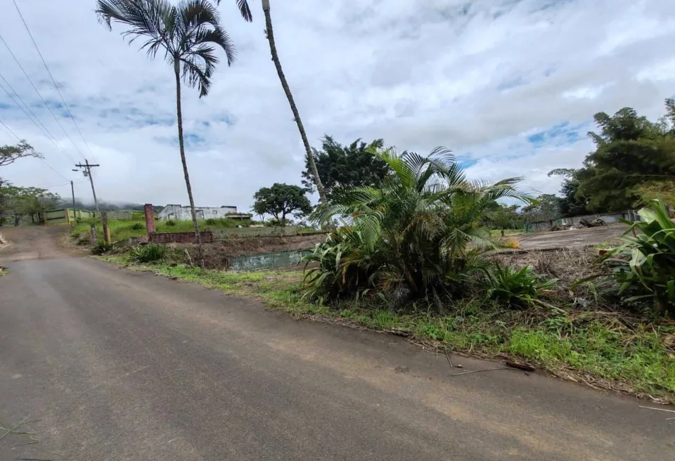 Finca en venta en Palmares, Alajuela – Propiedad en Palmares, fue un beneficio de café