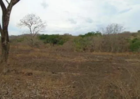 Finca en venta en Orotina, Alajuela – Terreno en Orotina