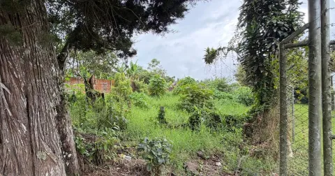 Lote en venta en Moravia, San José – foto 4