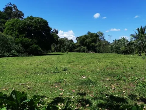 Finca en venta en Sarapiquí, Heredia – foto 4