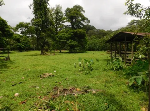Finca en venta en Sarapiquí, Heredia – foto 3