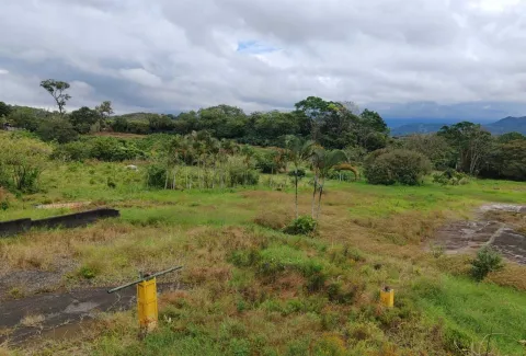 Finca en venta en Palmares, Alajuela – foto 2