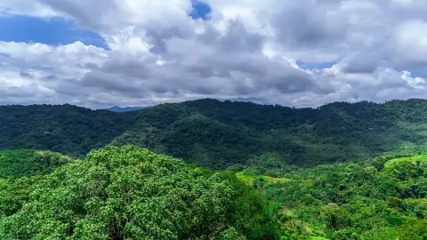 Finca en venta en Nandayure, Guanacaste – foto 4