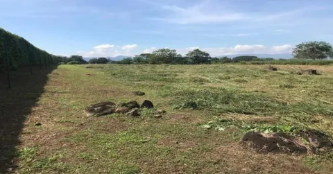 Lote en venta en La Garita, Alajuela, Alajuela – foto 4