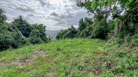 Finca en venta en Nandayure, Guanacaste – foto 2