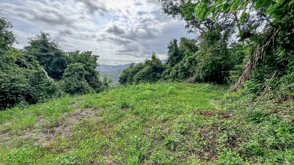 Finca en venta en Nandayure, Guanacaste – foto 2